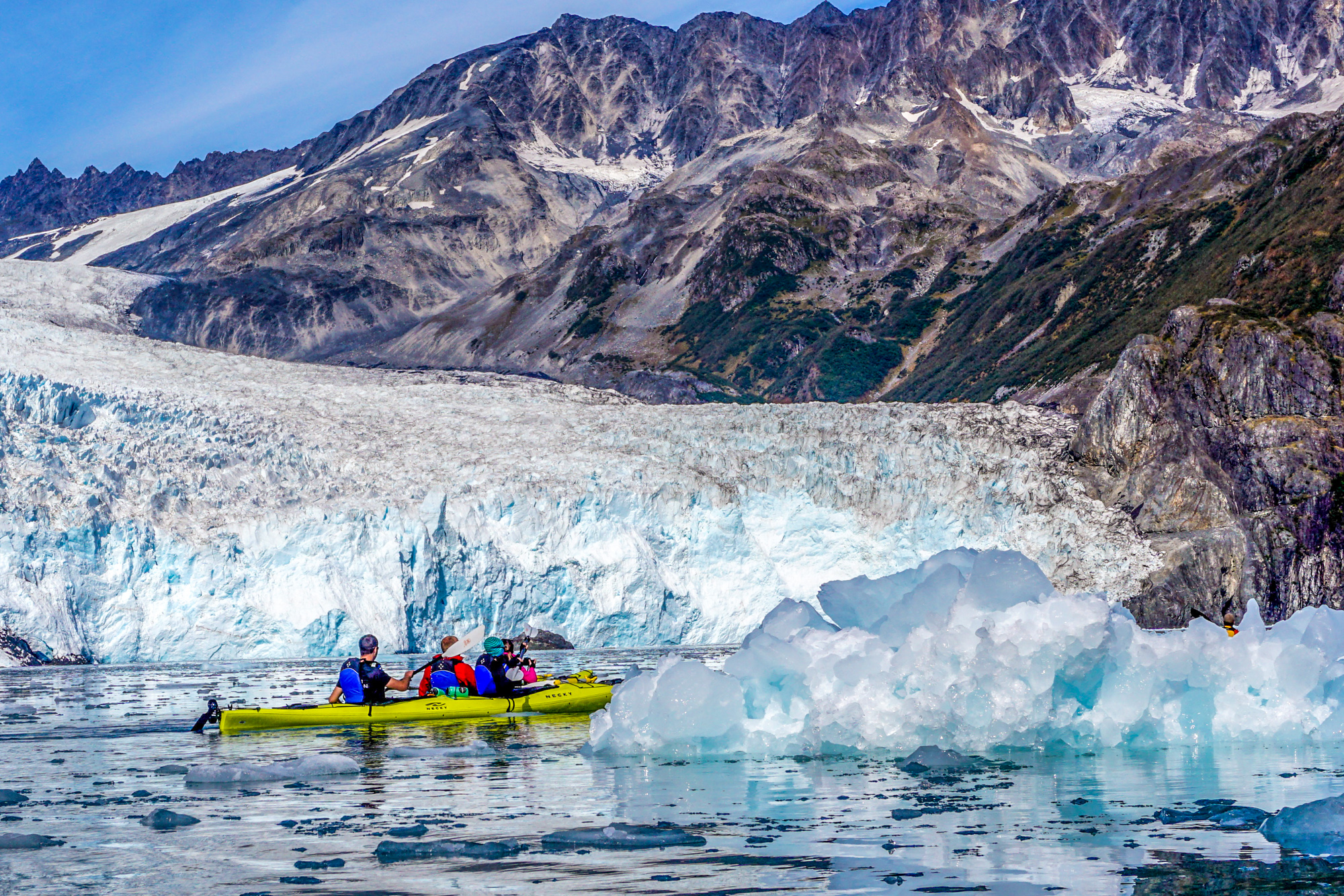 aialik glacier wildlife cruise and kayaking